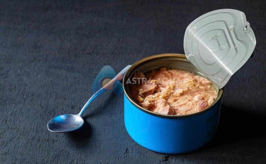 Cá ngừ đóng hộp