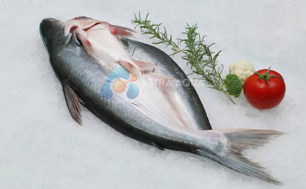 Cá Tra xẻ bướm 