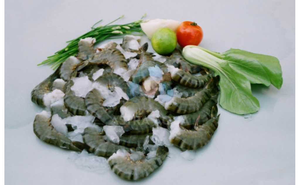 Tôm sú Nguyên con HLSO