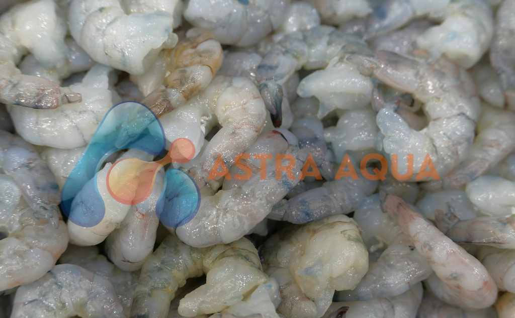 Tôm Sú Lột Vỏ Chưa Bỏ Chỉ Đen