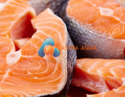 Cá  Hồi Cắt Khoanh 