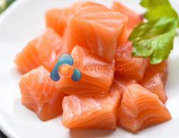 Cá hồi cắt khối vuông 