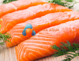 Cá Hồi Phi Lê Portion