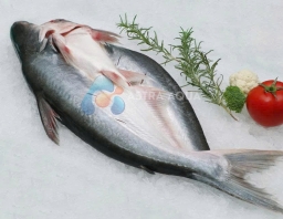 Cá Tra xẻ bướm 