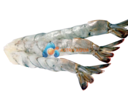 Tôm thẻ chân trắng lột vỏ, kéo dãn, còn đuôi 