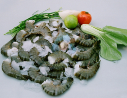 Tôm sú Nguyên con HLSO