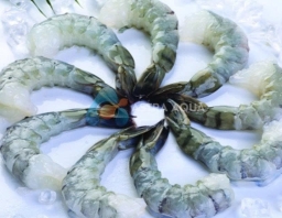 Tôm sú lột vỏ, còn đuôi