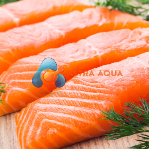 Cá Hồi Phi Lê Portion