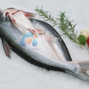 Cá Tra Xẻ Bướm