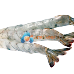 Tôm thẻ chân trắng lột vỏ, kéo dãn, còn đuôi 