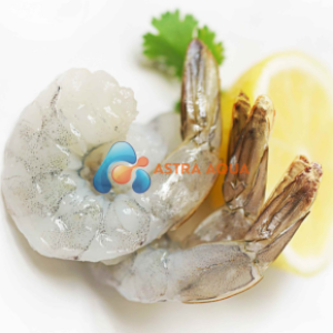 Tôm thẻ chân trắng lột vỏ, còn đuôi 