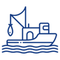 Đánh bắt thu mua