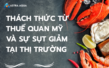 Thách thức từ thuế quan Mỹ và sự sụt giảm tại thị trường này