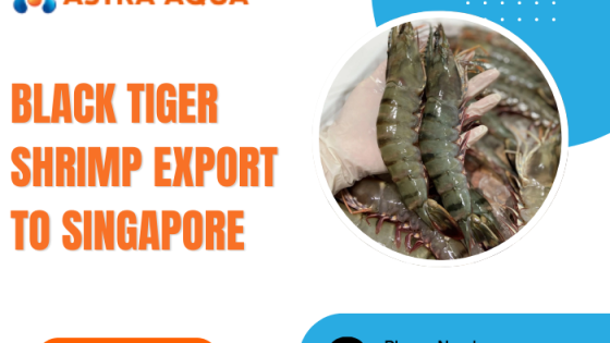 Xuất khẩu tôm sú sang Singapore