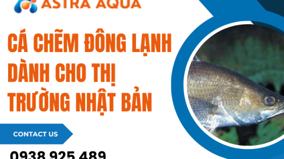 Cá chẽm đông lạnh dành cho thị trường Nhật Bản