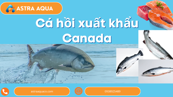 Canadian Salmon Exports