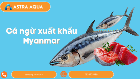 Cá ngừ xuất khẩu Myanmar