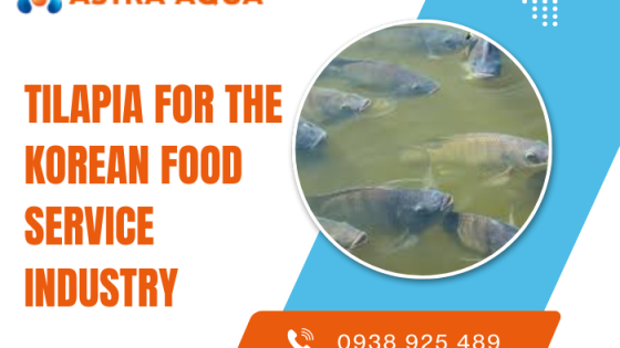 Tilapia for the Korean Food Service Industry
