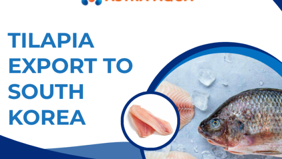 Cá rô phi xuất khẩu sang Hàn Quốc