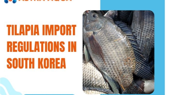 Các quy định nhập khẩu cá rô phi tại Hàn Quốc