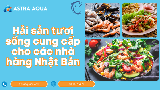 Hải sản tươi sống cung cấp cho các nhà hàng Nhật Bản