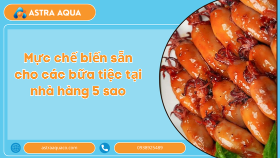 Ready-to-Cook Squid for 5-Star Restaurant Parties