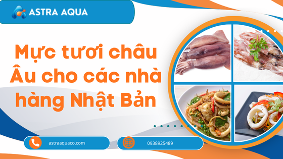 Mực tươi châu Âu cho các nhà hàng Nhật Bản