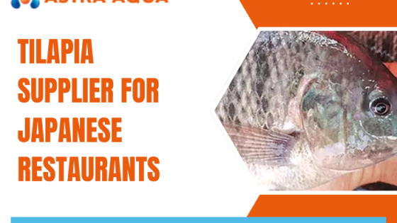Tilapia Supplier for Japanese Restaurants