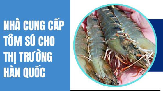 Nhà cung cấp tôm sú cho thị trường Hàn Quốc