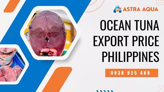 Ocean Tuna Export Price Philippines