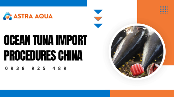 Thủ tục nhập khẩu cá ngừ đại dương của Trung Quốc