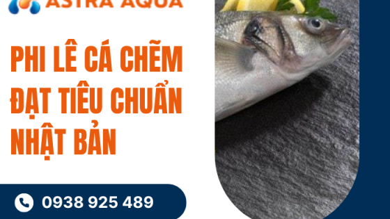 Phi lê cá chẽm đạt tiêu chuẩn Nhật Bản