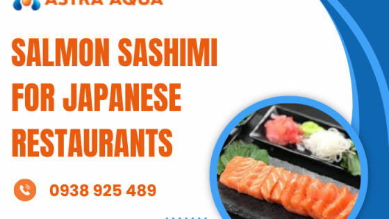 Sashimi cá hồi dành cho nhà hàng Nhật Bản
