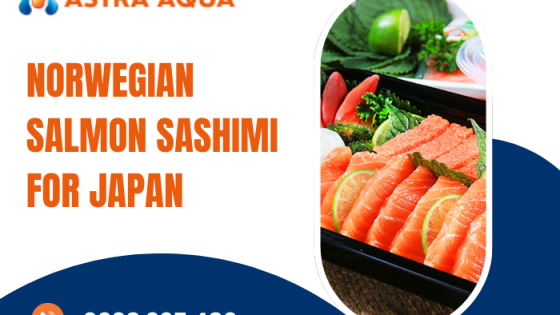 Sashimi cá hồi Na Uy dành cho Nhật Bản