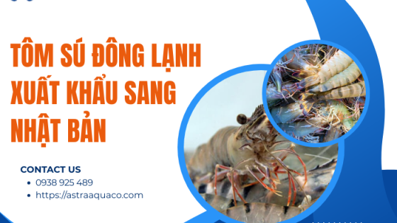 Tôm sú đông lạnh xuất khẩu sang Nhật Bản