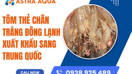 Tôm thẻ chân trắng đông lạnh xuất khẩu sang Trung Quốc