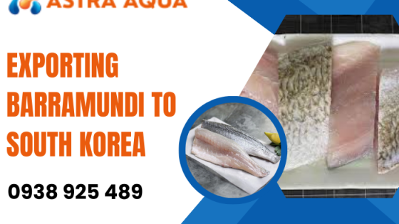 Xuất khẩu cá chẽm sang Hàn Quốc