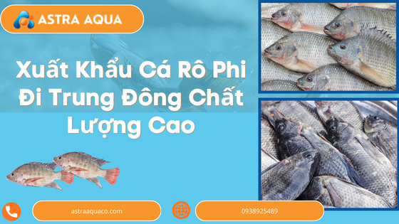 Xuất Khẩu Cá Rô Phi Đi Trung Đông Chất Lượng Cao