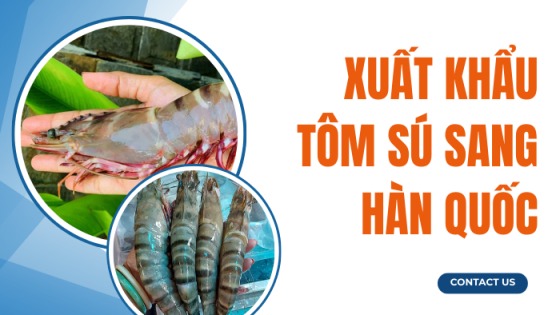Xuất Khẩu Tôm Sú Sang Hàn Quốc