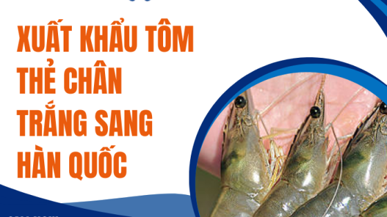 Xuất khẩu tôm thẻ chân trắng sang Hàn Quốc
