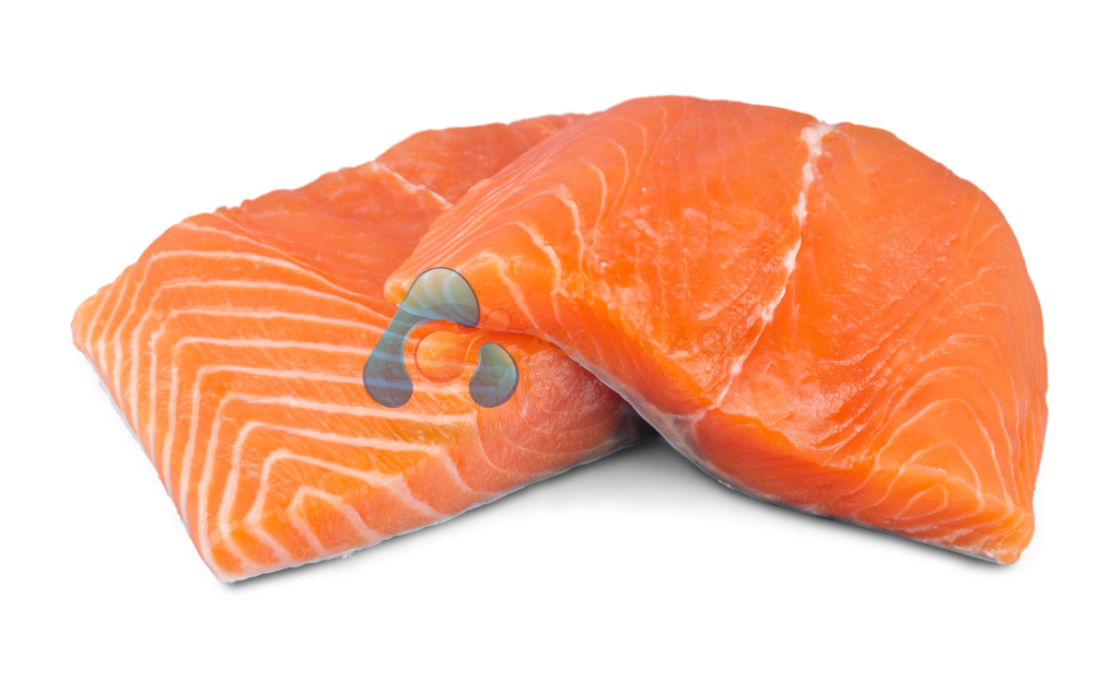 Cá Hồi - Salmo Salar