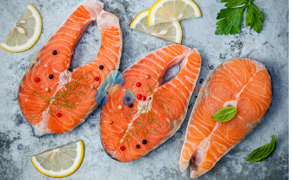 Cá Hồi - Salmo Salar