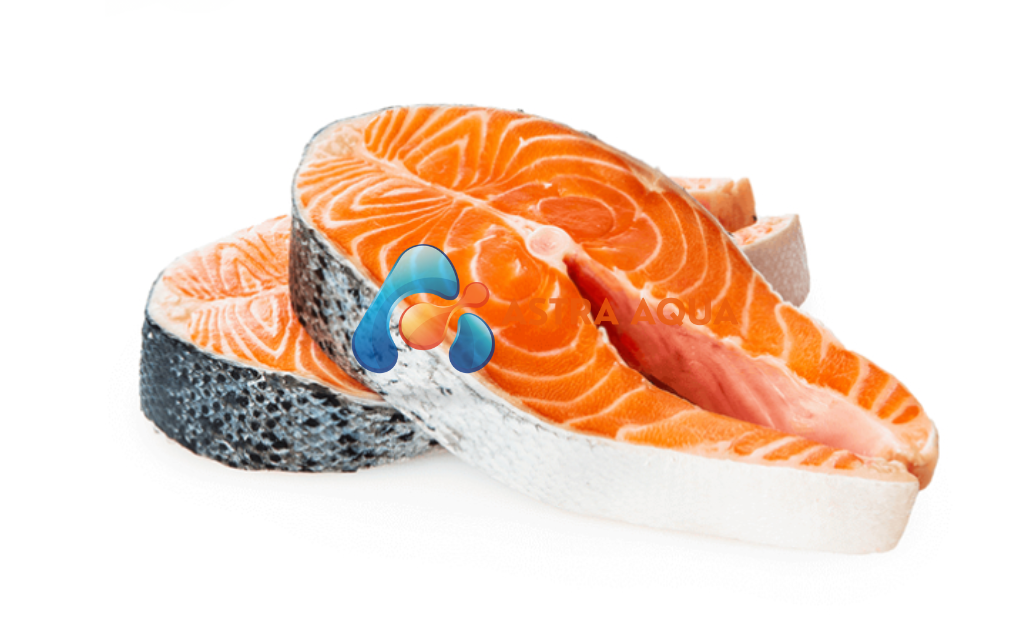 cá hồi cắt khoanh 