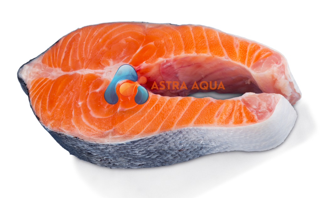 cá hồi cắt khoanh 