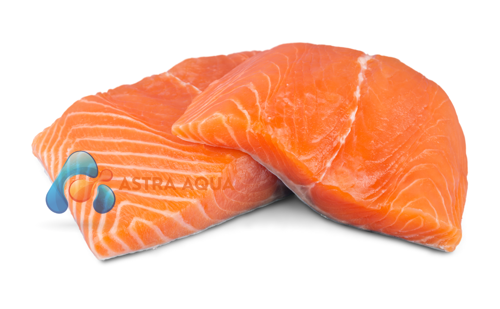 Cá hồi Fillet