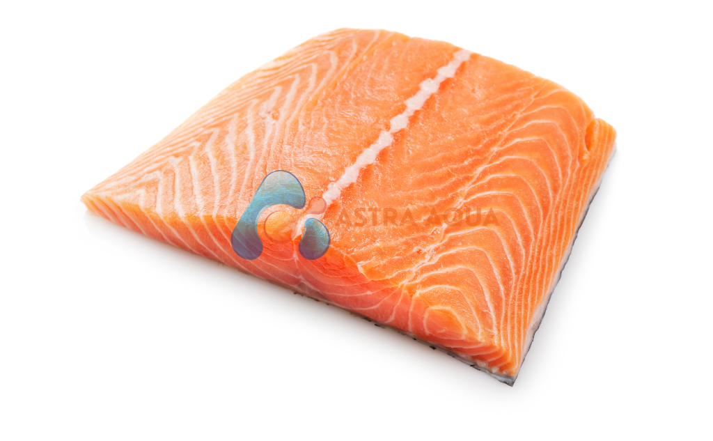 Cá hồi Fillet