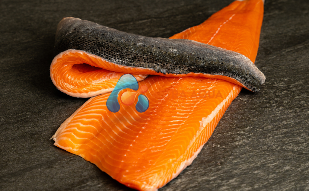 Cá hồi phi lê portion