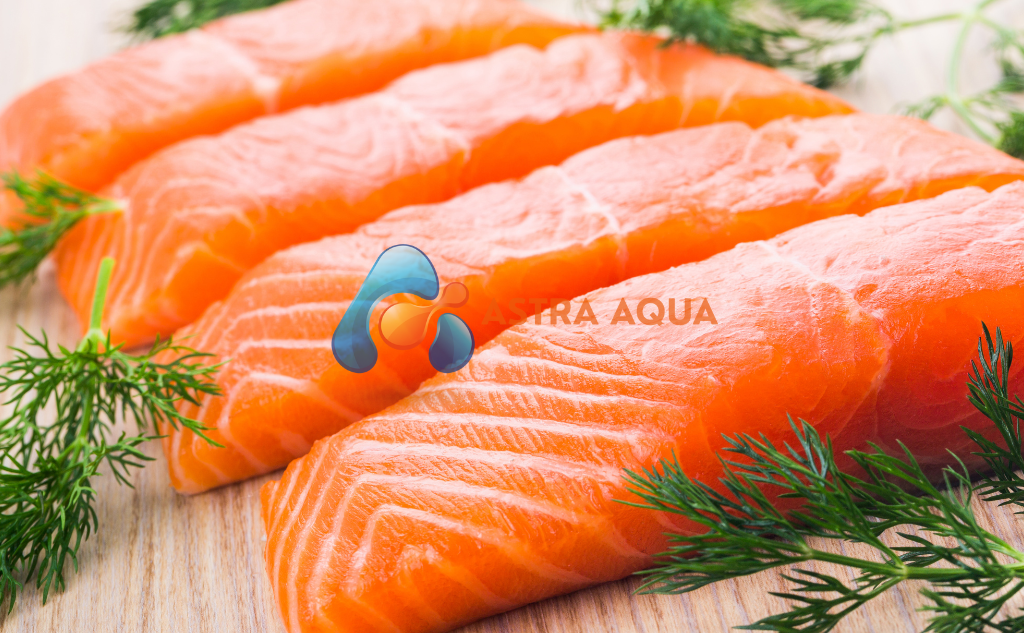 Cá hồi phi lê portion