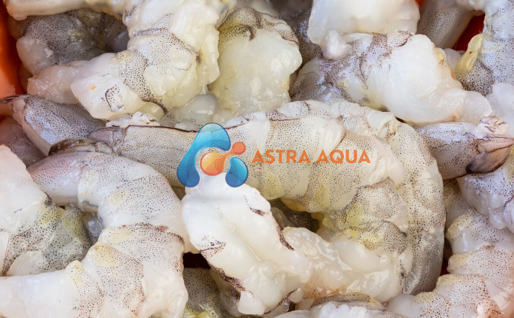 Tôm sú lột vỏ & chế biến 