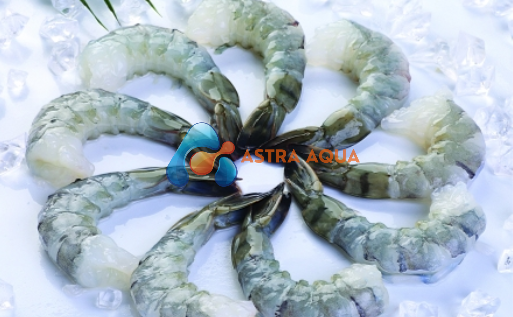 Tôm sú lột vỏ & chế biến 